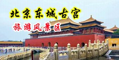 黑丝淫娃中国北京-东城古宫旅游风景区